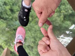 -少华山国家森林公园