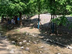 -白水寺森林公园