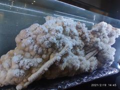 -湖南省地质博物馆