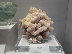 -湖南省地质博物馆