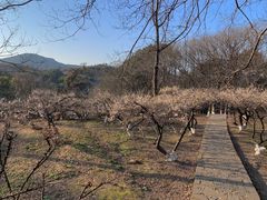 -白马涧龙池景区
