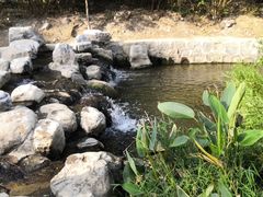 -白水寺森林公园