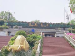 -碧峰峡风景区