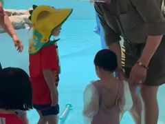 -芭东小镇温泉