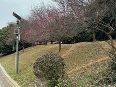 -南山风景名胜区