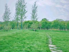 -天津东丽湖风景区