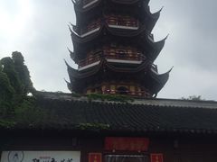 -鸡鸣赐茶(鸡鸣寺路店)
