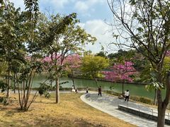 -馔豚·台北菜专门店(深圳湾万象城店)