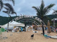 -西涌国际滨海旅游区