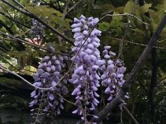 -斯多格书乡(北京大学畅春园店)