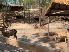 -北京鹿世界主题园