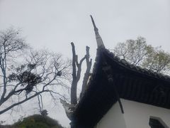 -阳明祠