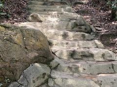 -梧桐山风景名胜区