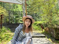 -汤旺河林海奇石景区