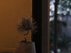 -灶咖KITCHEN