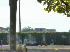 -北京群众马术培训基地