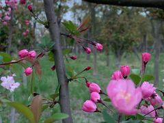 -外高桥保税区南(地铁站)