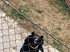 -石家庄市动物园