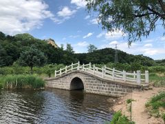 -六里坪国家森林公园