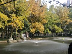 -温江公园