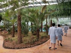 -灵山莲花公园-温泉度假区