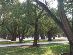 -北京市劳动人民文化宫(太庙)