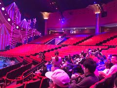 -珠海横琴长隆《卡卡虎奇遇记》