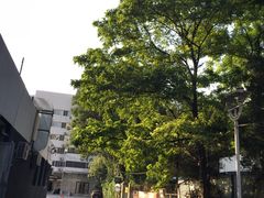 -中国中医科学院望京医院(院本部)
