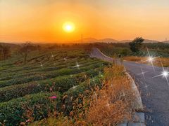 -游子山休闲旅游区
