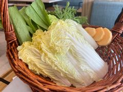 -菌子鲜汤野生菌锅
