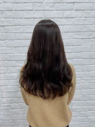 点击看大图 -IDOL-PLUS