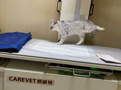 -宠福鑫动物医院(立水桥分院)
