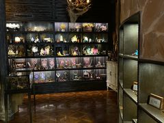 -雪灵魔法世界SHELLY’S TAROT(大良桂畔里店)