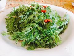 -钦善斋(武侯祠店)