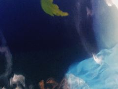 -杭州第一世界大酒店·云曼温泉