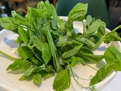 -烹然四季椰子鸡火锅(姚家园万象汇店)