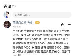 -美联众合动物医院(·中兽医·疑难杂症·严家桥分院)