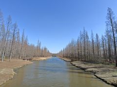 -黄海国家森林公园