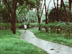 -玲珑塔公园