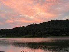 -羊山湖公园