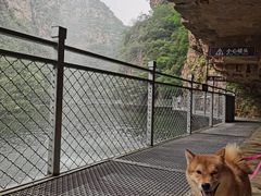 -湖洞水自然风景区
