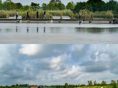 -盐城丹顶鹤湿地生态旅游区