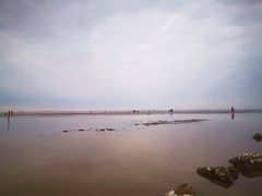 -南汇嘴观海公园