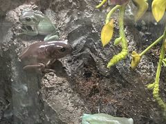 -中国湿地博物馆