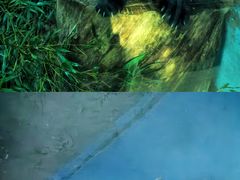 -青藏高原野生动物园