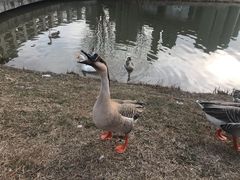 -西安浐灞国家湿地公园