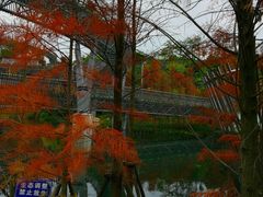 -梅峰山地公园