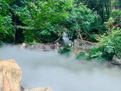 -北京西山国家森林公园