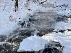 -峡谷浮石林景区