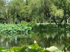-金银湖国家城市湿地公园